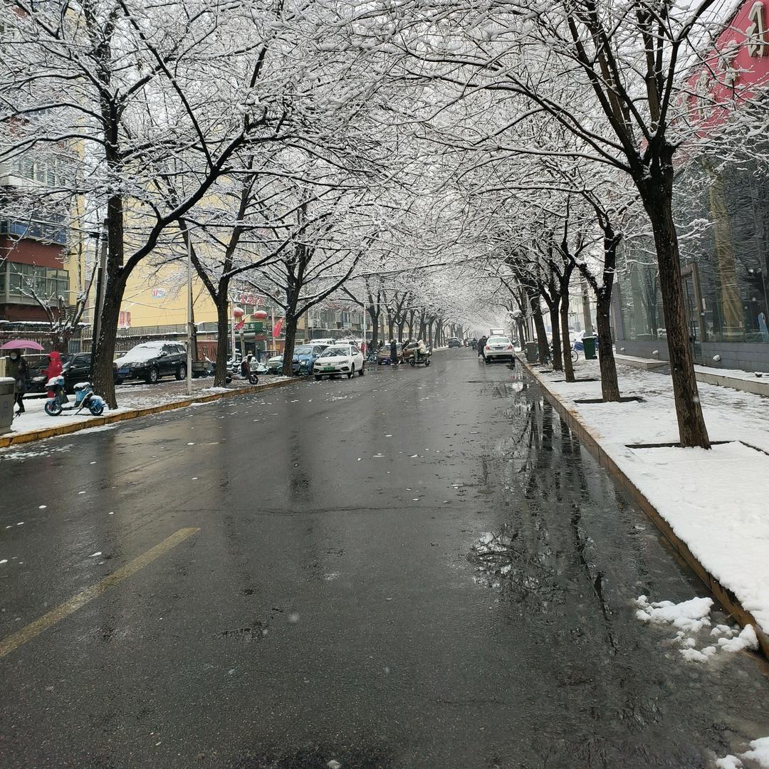 瑞诚马同学二手车