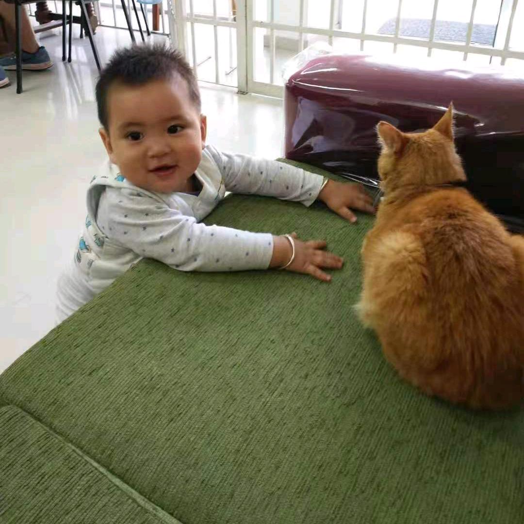 核桃