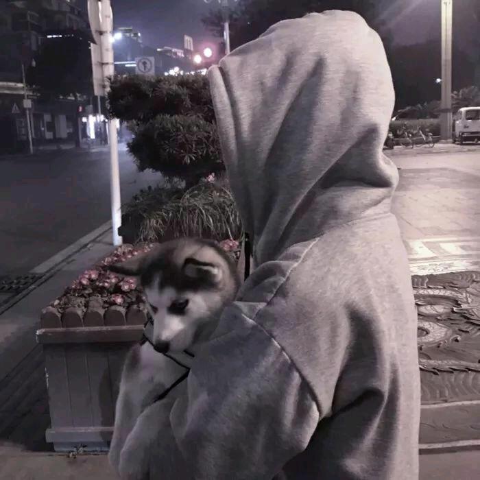 小酒啊
