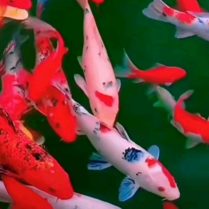·财主.