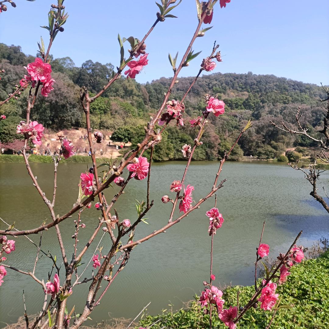 @阳山源