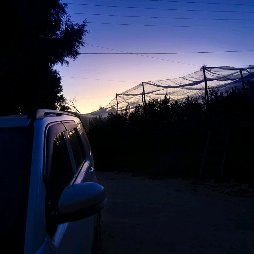 梁山伯与猪硬来