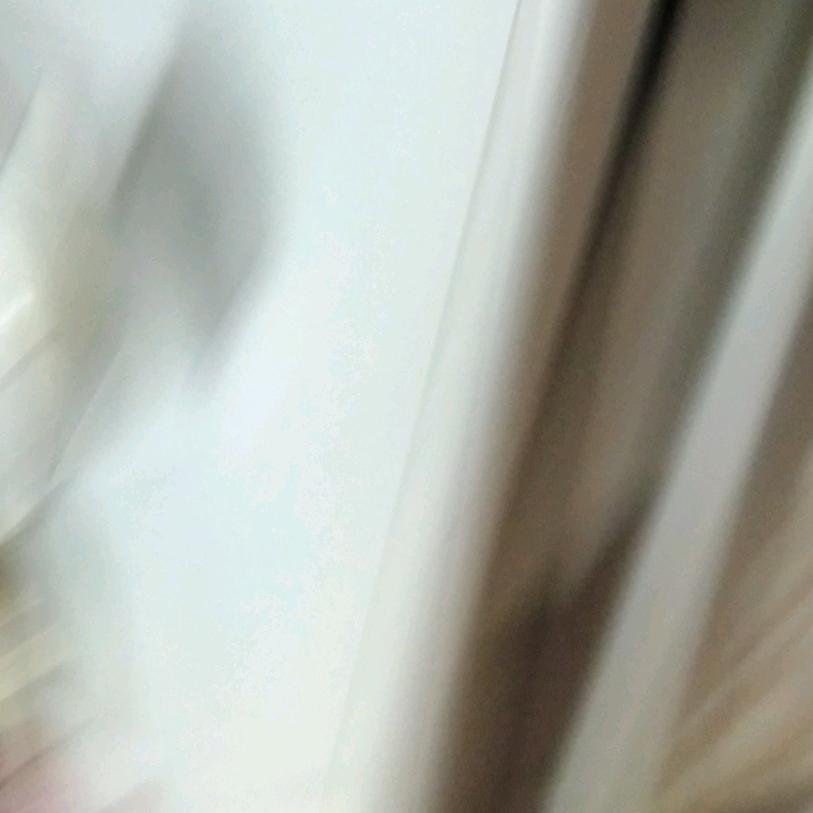 天下为公