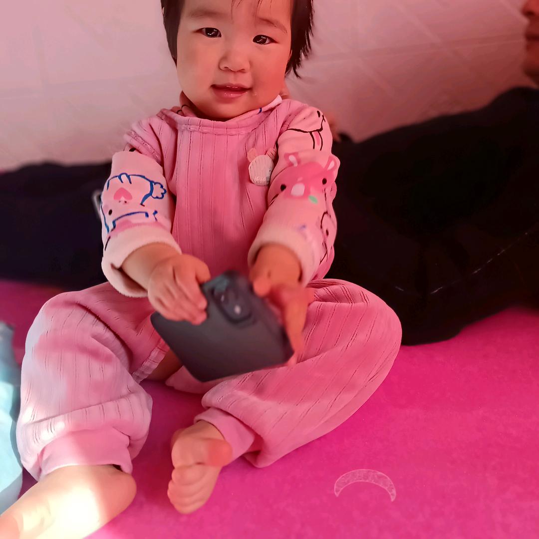 会飞的鱼🐠