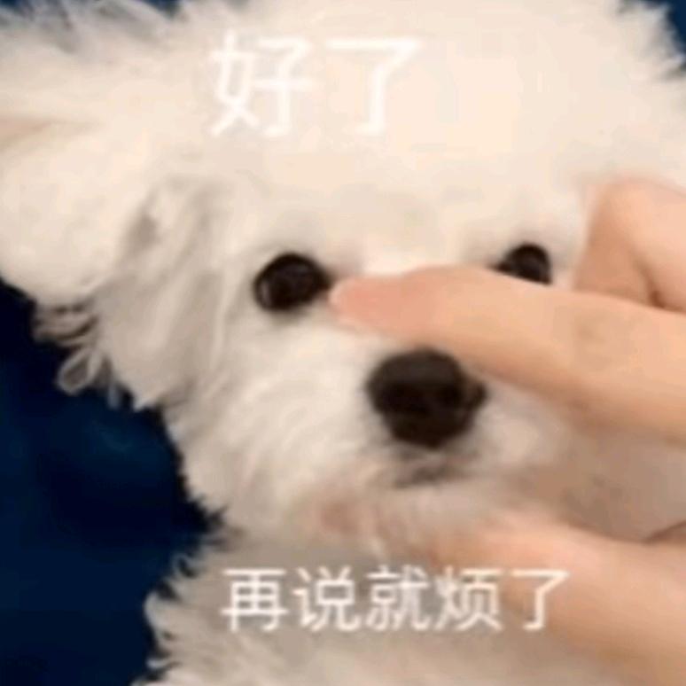 蹚也要蹚出一条路