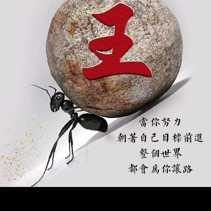 被遗忘的角落