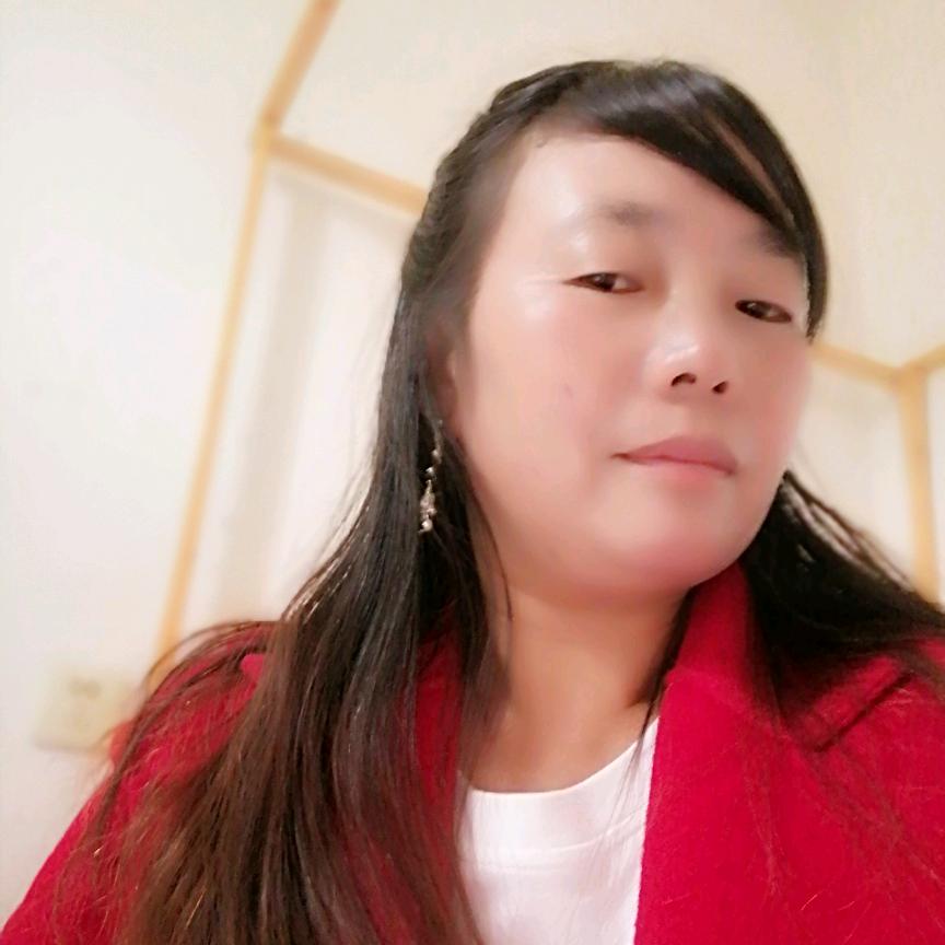 一枝梅梅