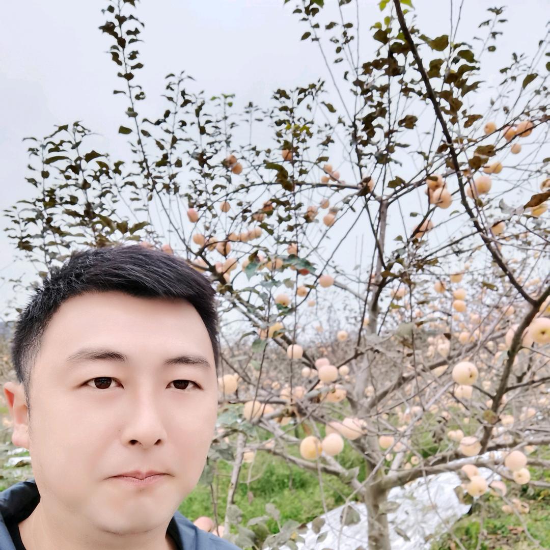 小情调杨