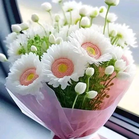 ヾ(❀余生🍀随心,,Ծ^Ծ,,
