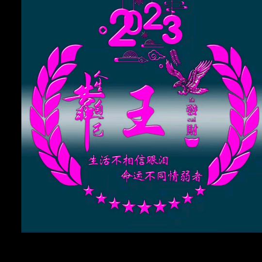《漂洋过海来看你》