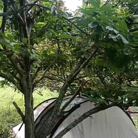 七色彩虹