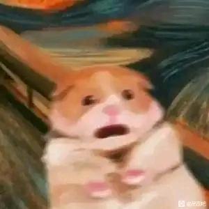 皮蛋solo粥　　　　　　　　　　广告✕