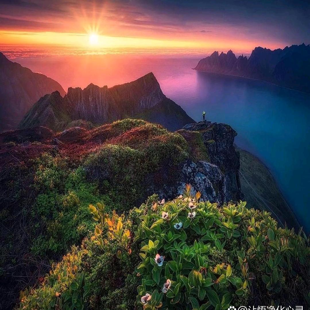 雨化田（每晚8点）