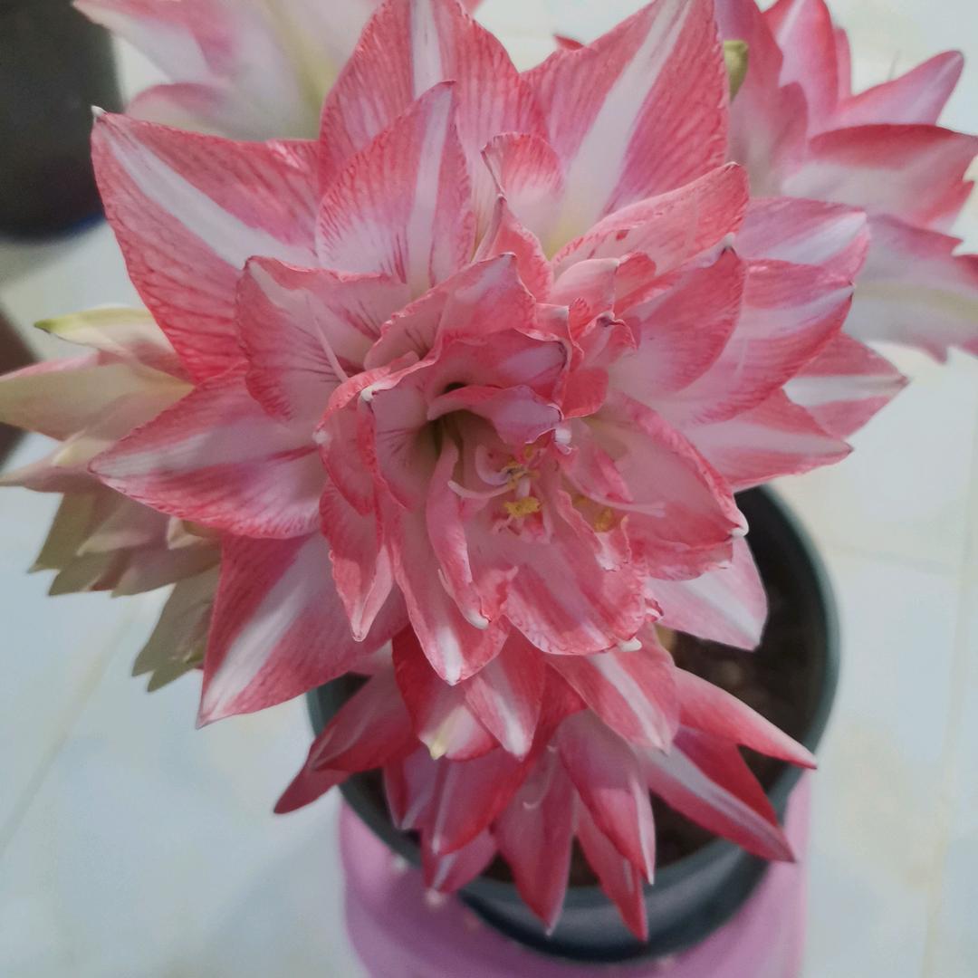 视儿不见，充耳不闻