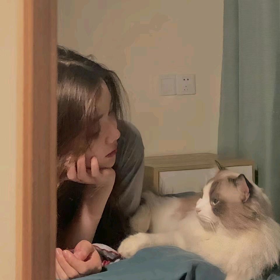 番茄鸡蛋