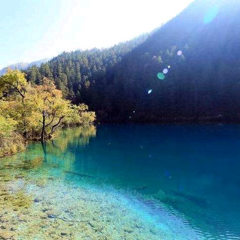 粤来越湘