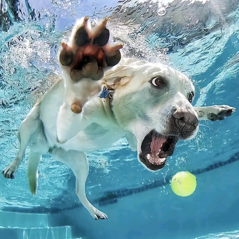 广饶胡同24h棋牌阿宝