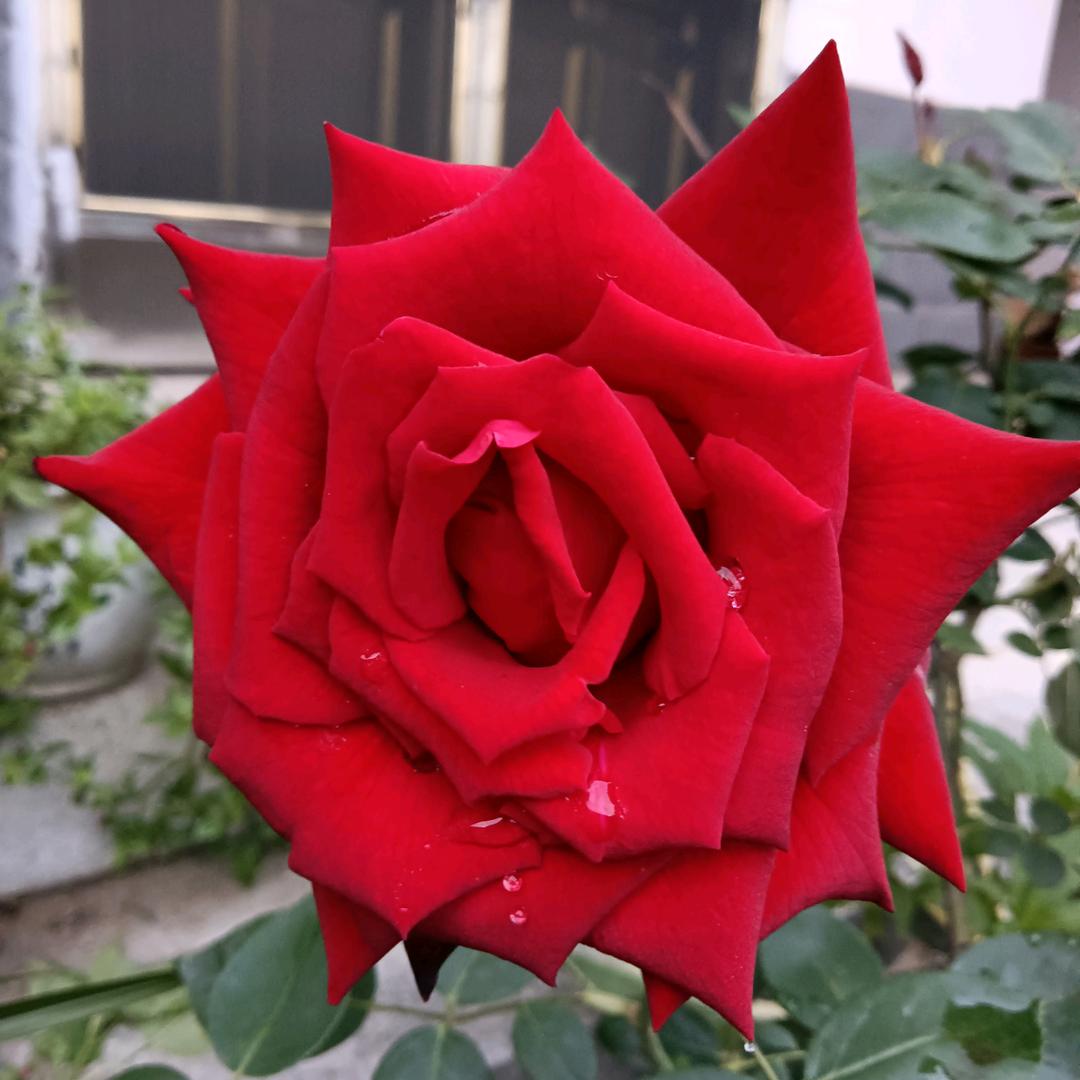 一切随缘🌺🌺