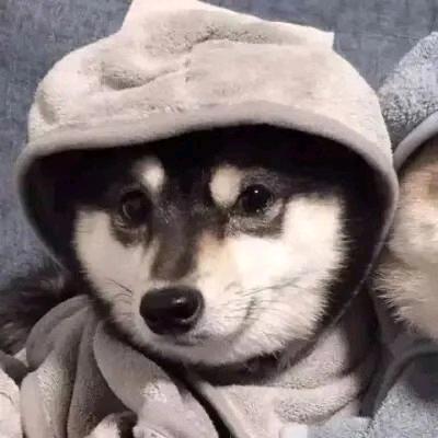 云儿越减越肥(回关版)