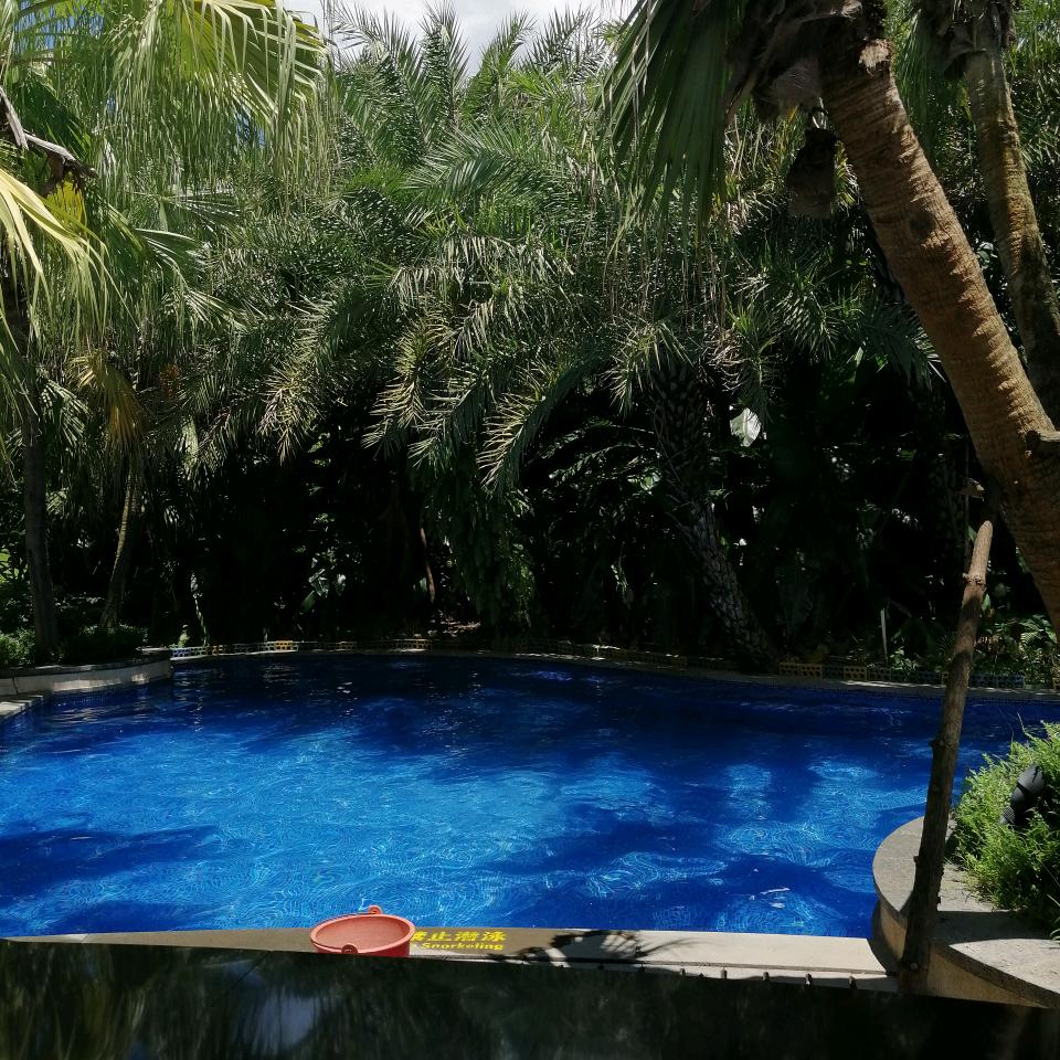 🧚‍♀️淡然一笑🌻