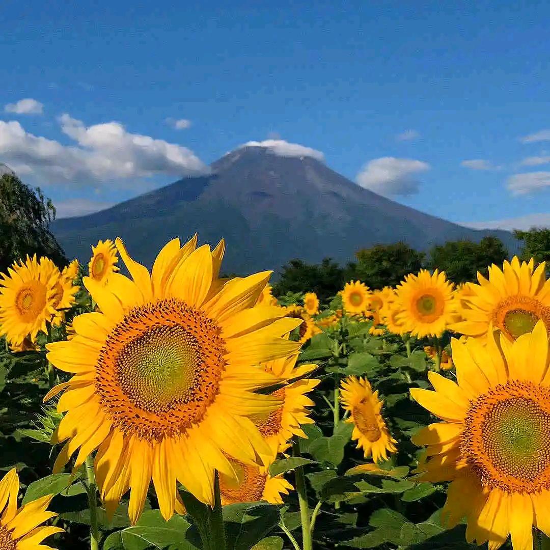 日照百溪汽车租赁