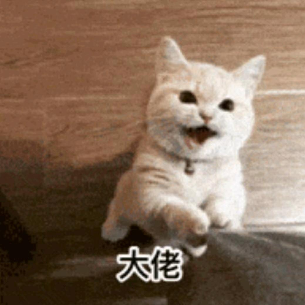 逛逛杂货铺自选小店