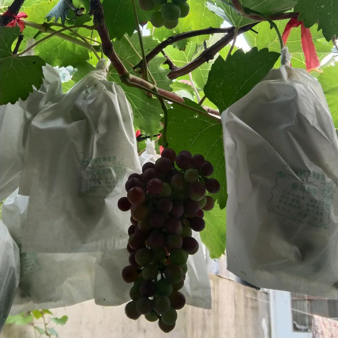 可爱ớ ₃ờ🤐