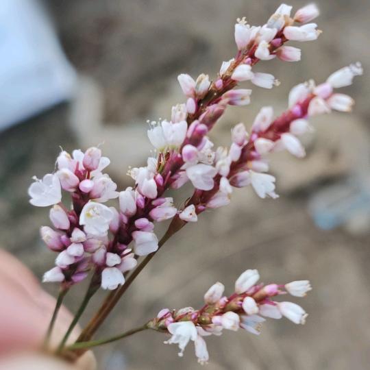 只为遇见最好的你