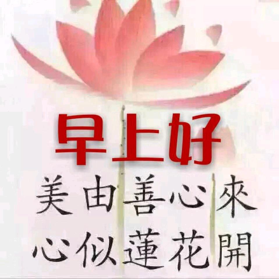 了凡芯
