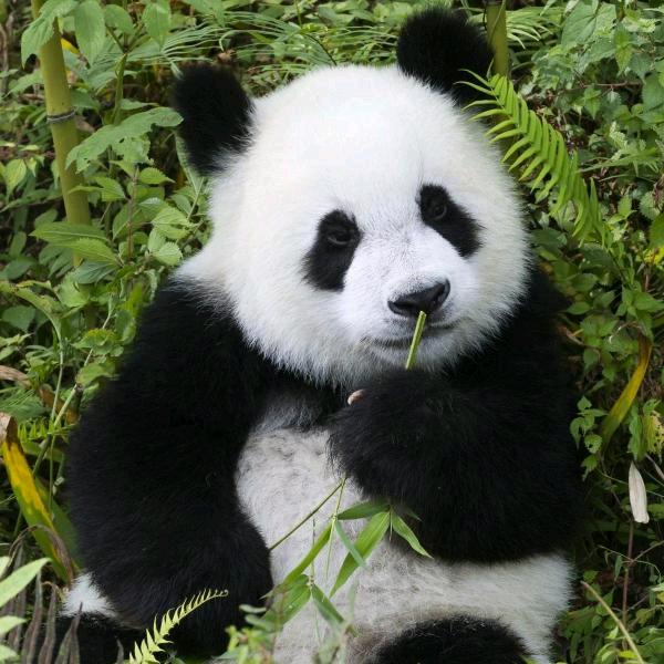 环境