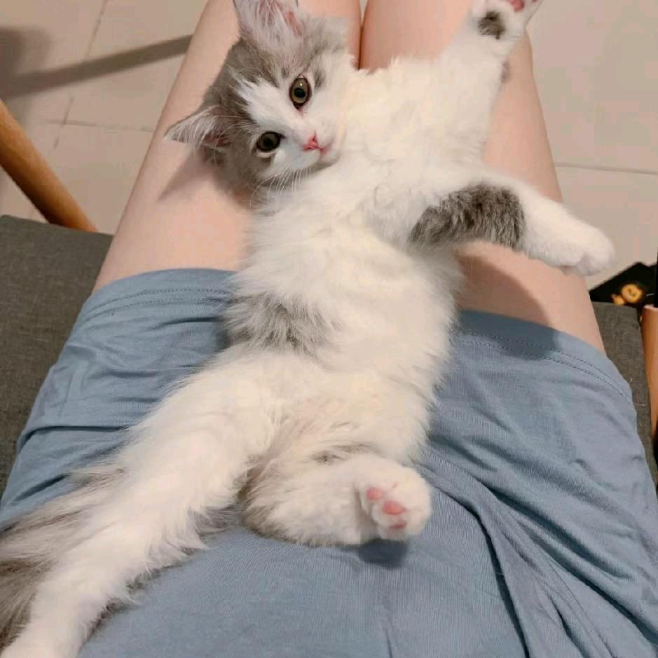 相见恨晚🧞‍♀️🧞‍♀️🧞‍♀️?