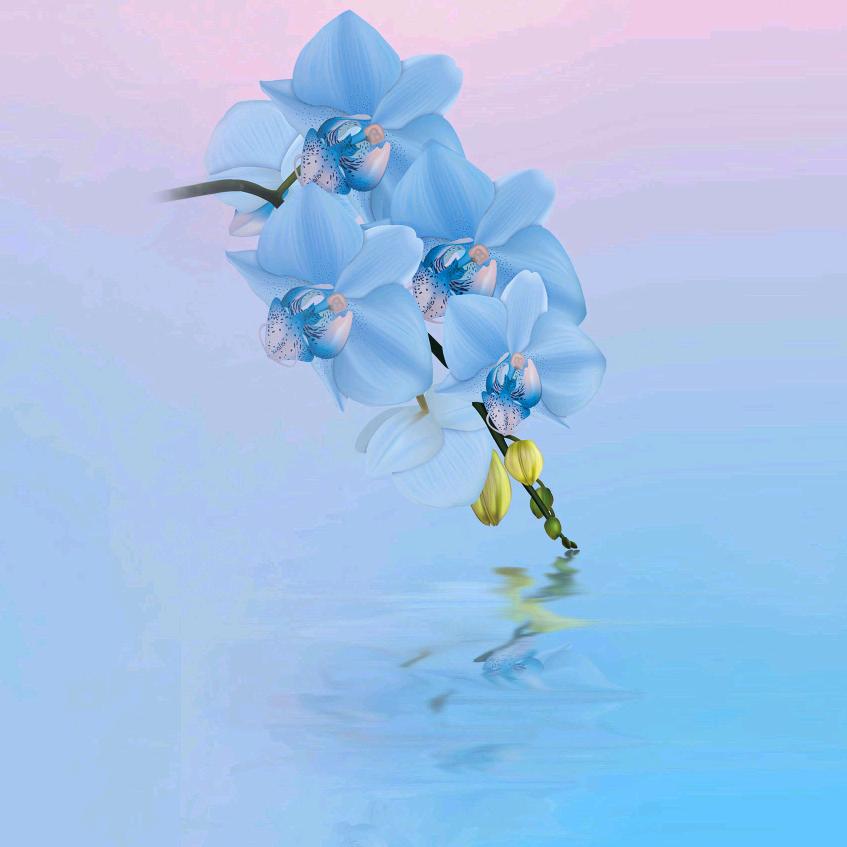 炁能