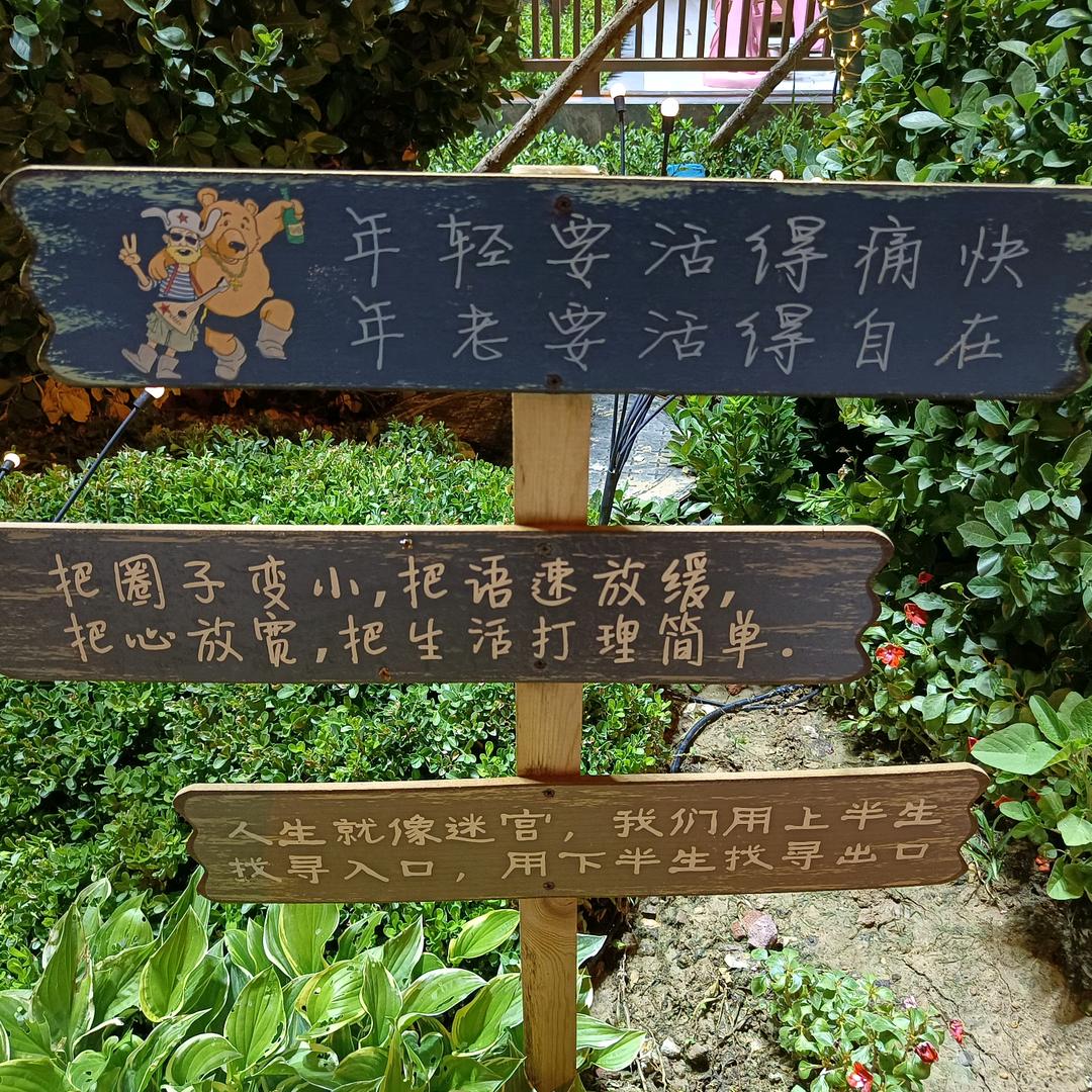 战战的虾虾