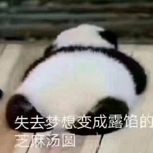 普通青年苏秦云