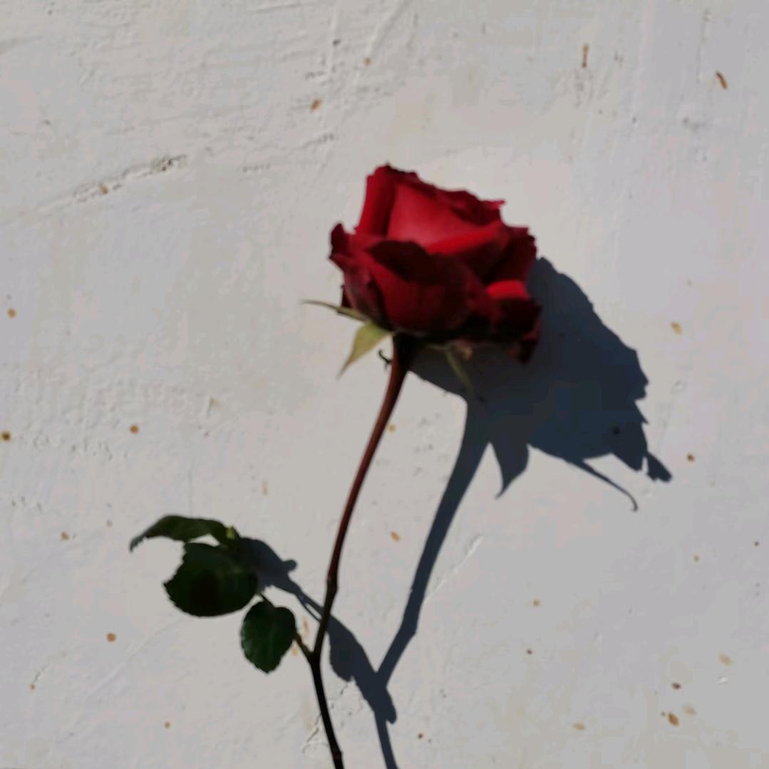 dℒℴѵℯ_-_-;এ⁵ℒℴѵℯ_-_-