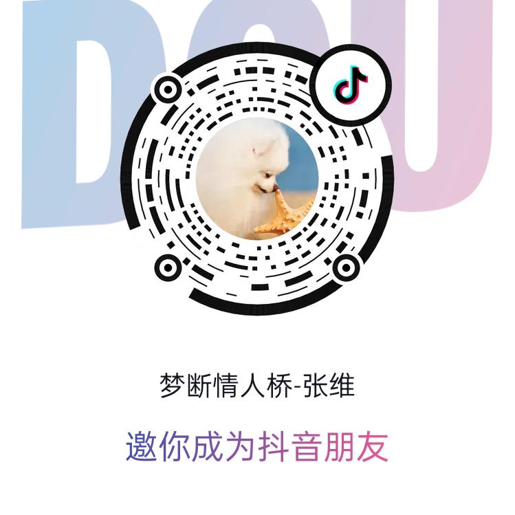 梦断情人桥-张维