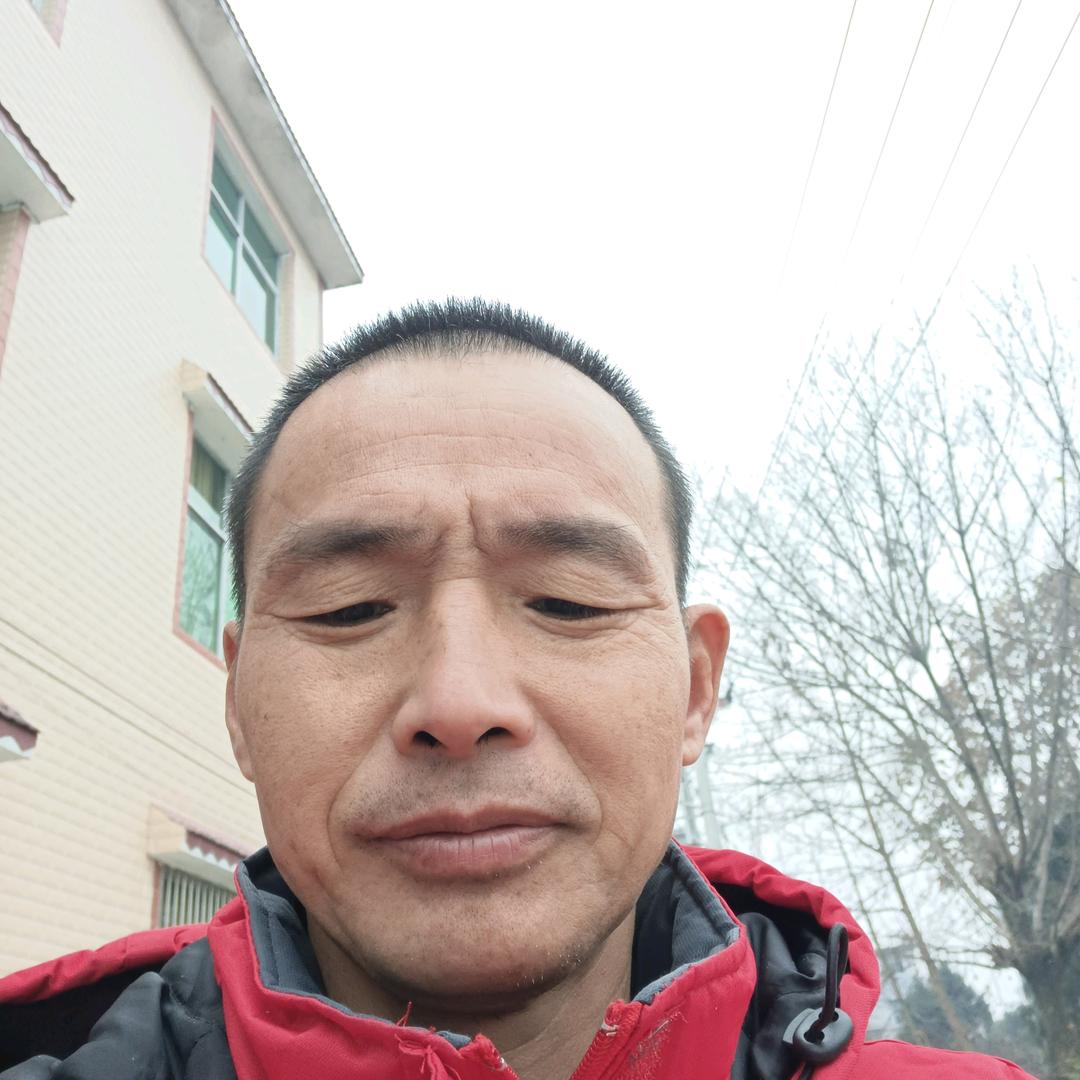 向泽平