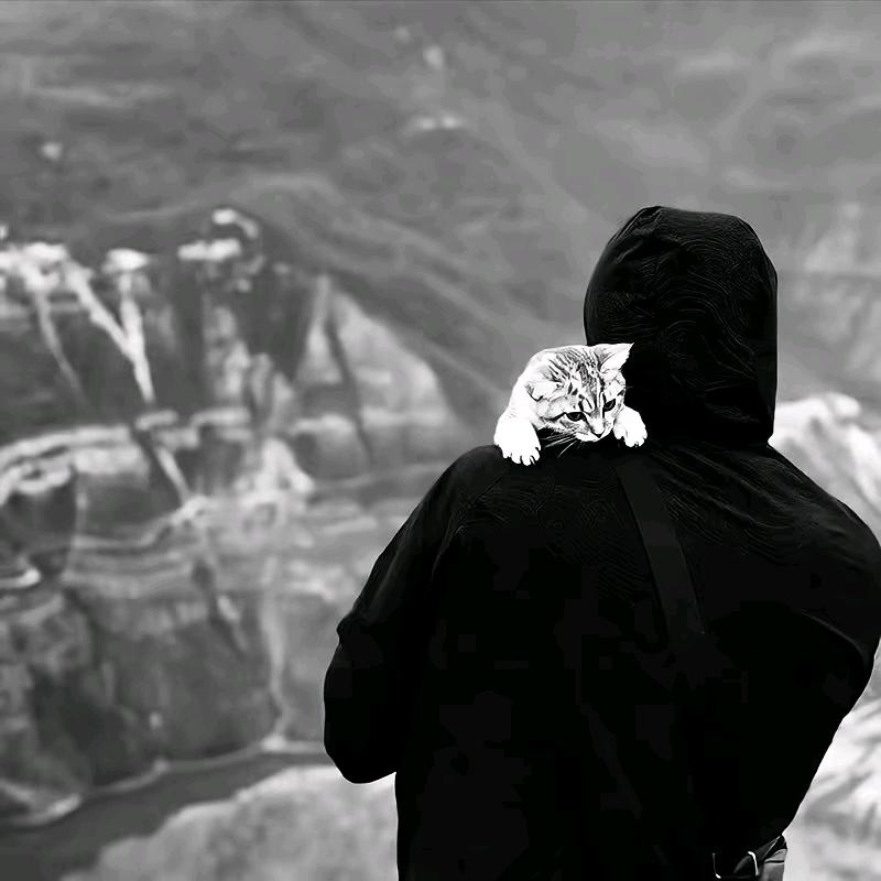 百威不是水