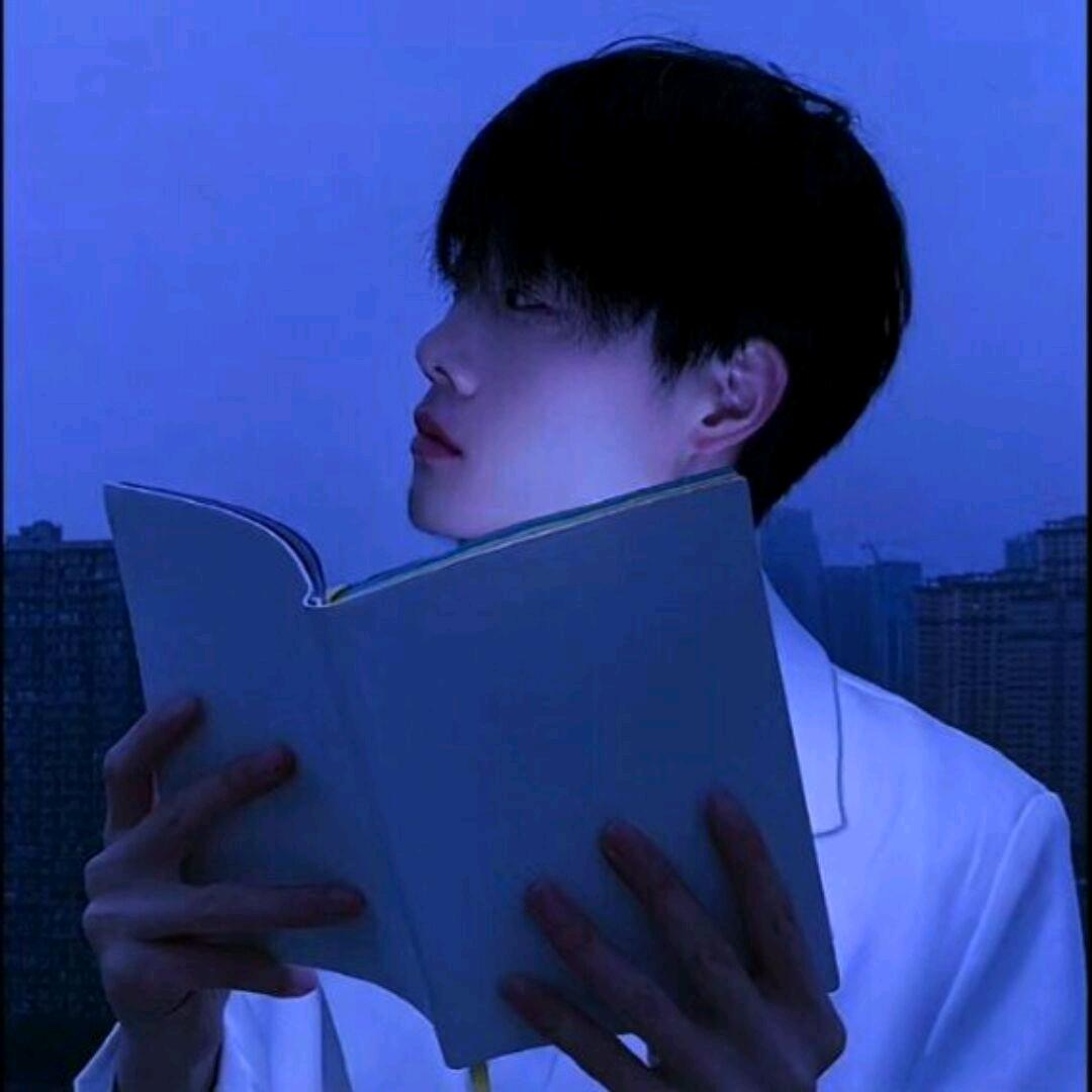 小十七🕊️