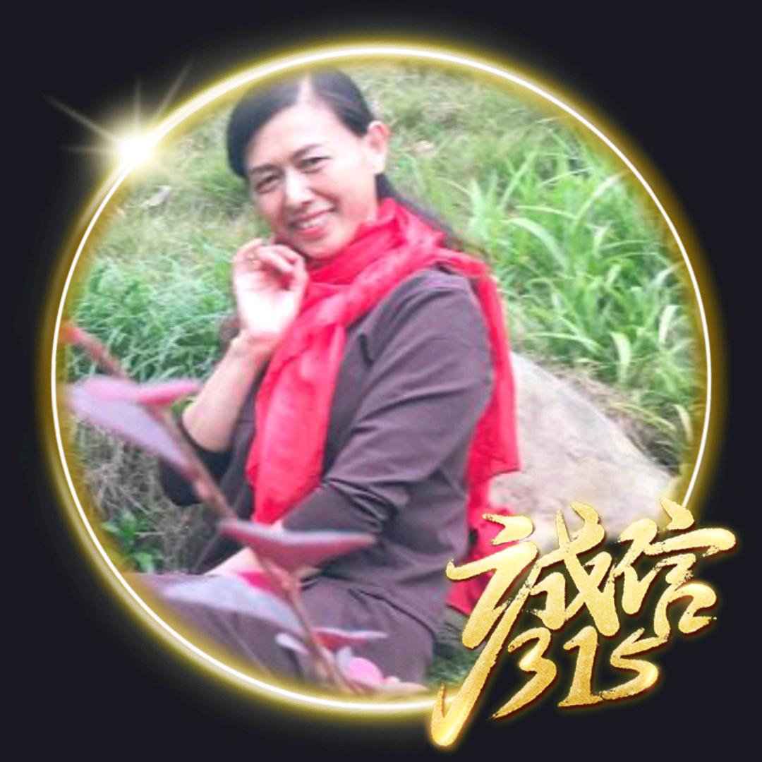 一网情深