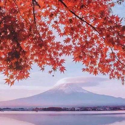 时晨