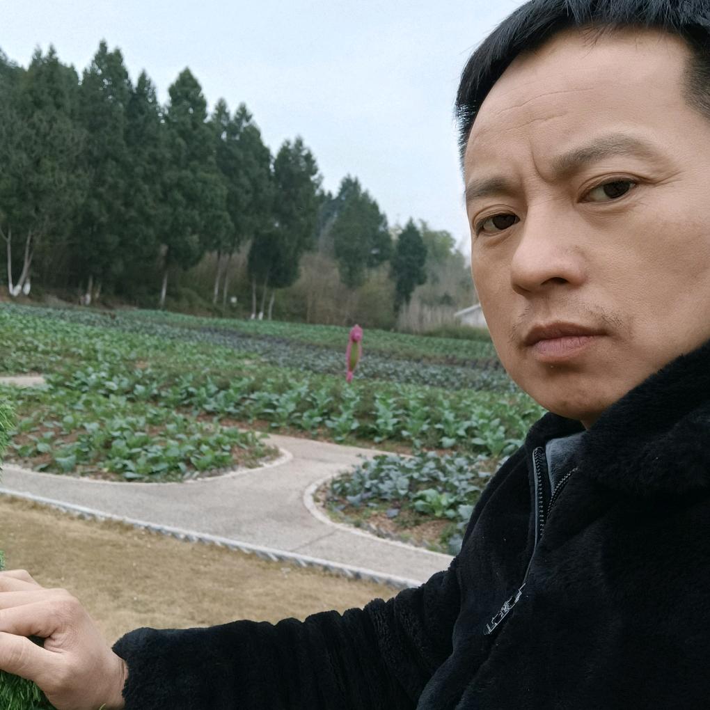 杨德全