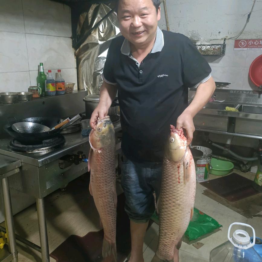 一路向前看