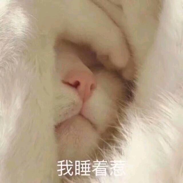 糖醋锦鲤