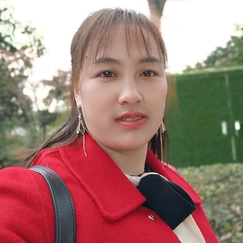 雨中玫瑰