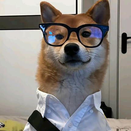 眼睛是唯一的见证者