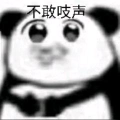 小众众呀