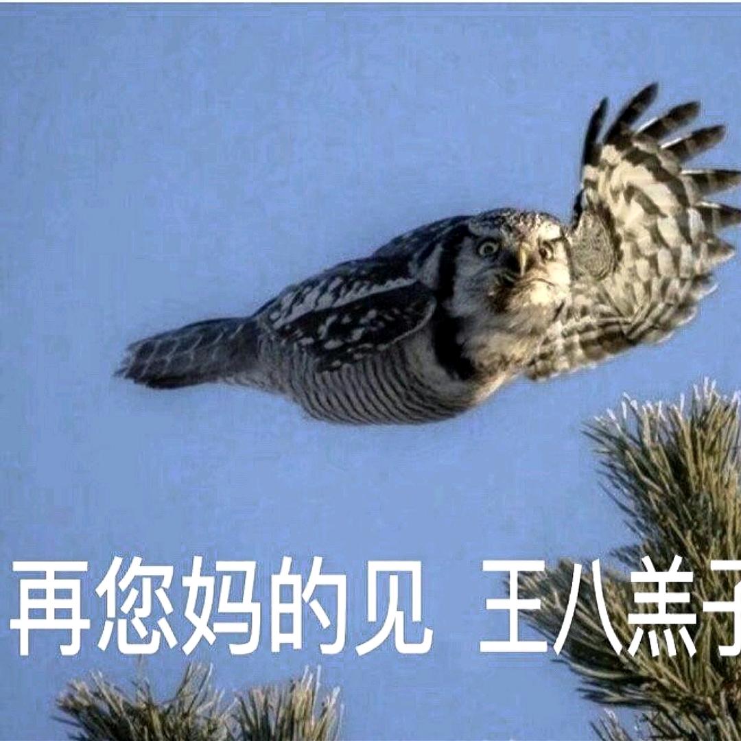 一只减肥的超人