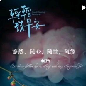 往事随心✨退抖中
