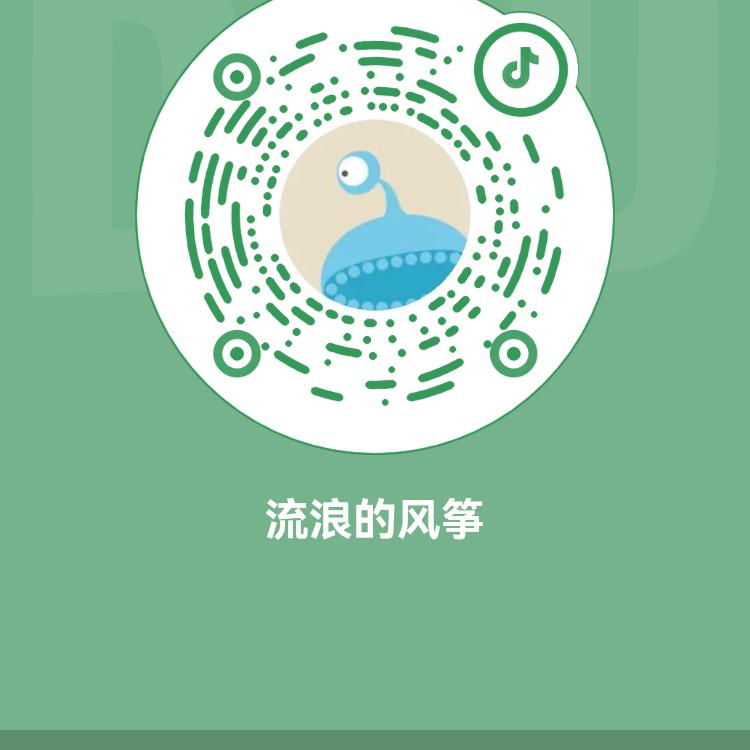 流浪的风筝